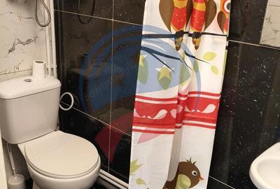 Garsonieră decomandată, mobilată în Valea Rosie