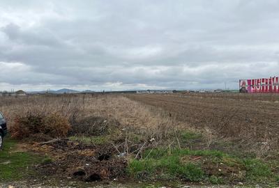 Teren intravilan, 6000 mp, Ghimbav - 4