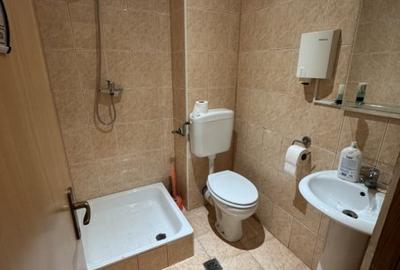 Apartament 2 cam, etaj 1, Mihai Bravu - Teleajan - 10