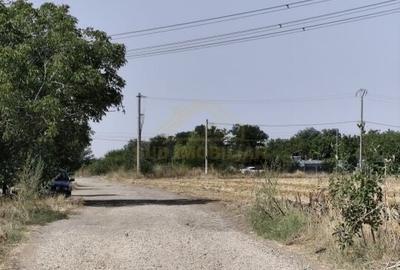 Teren Intravilan intrare com. Frumusani, acces direct sos Oltenitei in 200M - 4