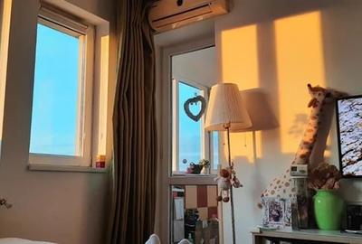 Vanzare 2 cam Dezrobirii - 4