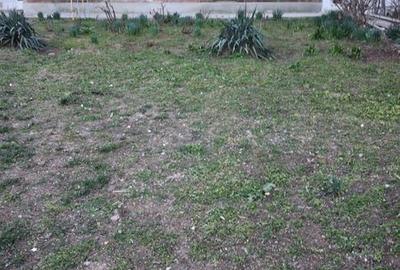 Apartament cu 2 camere semidecomandat în Traian