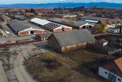 FILM! Complex agrozootehnic cu traditie, echipat + pretios potential multiplu, C - 32