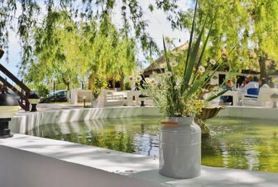 Casă individuală cu 19 camere cu Canalizare în Murighiol - 3