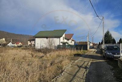 Teren de 1250 mp, în Bascov - 5