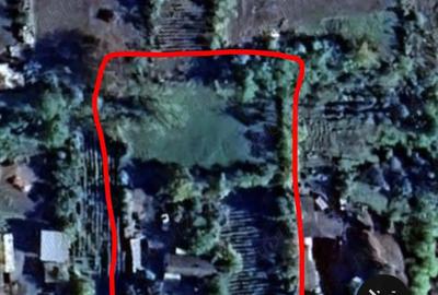 Casă cu Teren 2700 Mp în Iazu Nou - 9