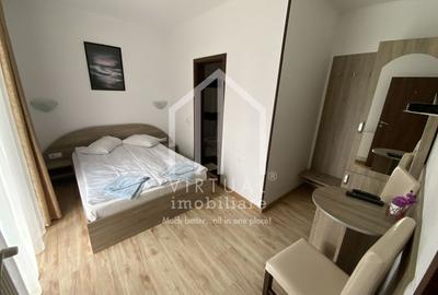 Pensiune de vanzare in Paltinis- Locatie deosebita- Afacere la cheie - 6