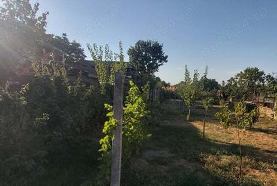 Proprietar vand casa Peciu nou 20 km de Timisoara Proprietar vand casa Peciu nou 20 km de Timisoara - 2