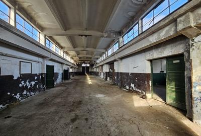 Spațiu industrial, de 3,400 mp, în Tătărăștii de Jos - 16