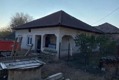 Casă cu Teren 2300 Mp în Daneți - 1