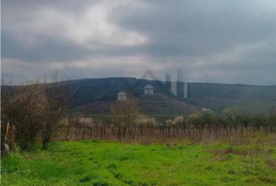 Teren de 46000 mp, în Dorobanț - 10