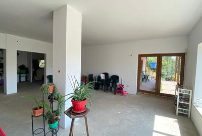 De vanzare casa individuala cu teren Gruiu , Calarasi ,Budesti - 22