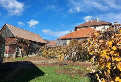 Casă cu 2 camere cu Teren 1060 Mp în Dealu - 5