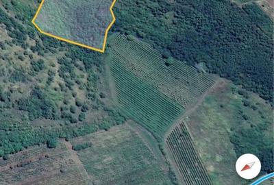 Spațiu comercial, în Șiria - 4