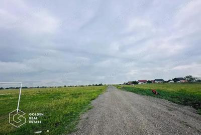 Terenuri cu utilitati, intrare Livada Terenuri cu utilitati, intrare Livada - 5