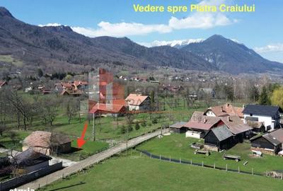 Spațiu comercial, în Predeluț - 2