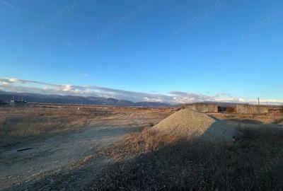 Vanzare teren intravilan 2,5 ha - infrastructura industriala ?i hala func?ionala - 5