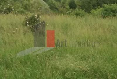 Teren Buftea cu iesire la lac - 13