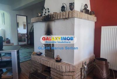 Casă cu 5 camere cu Teren 3657 Mp în Valea Lungă - 4