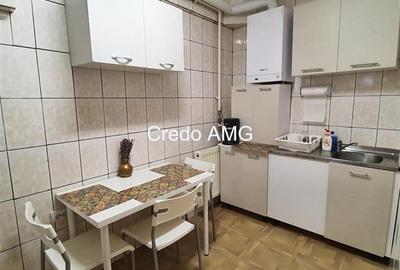 Stefan cel Mare, Vasile Lascar, inchiriere vila singur curte Stefan cel Mare, Vasile Lascar, inchiriere vila singur curte - 11