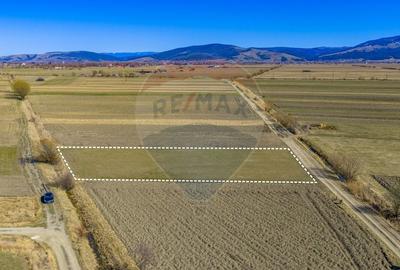 Teren agricol extravilan de 3700 mp, în Lunca Calnicului - 15