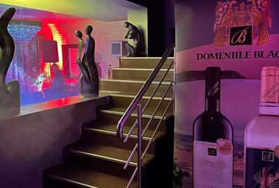 Casa de inchiriat - Vila petreceri - Majorat -Zi de Na?tere - Gender Reveal - Evenimente Private - 1