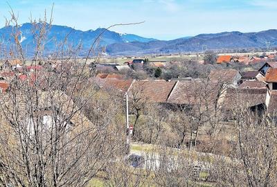 Teren Construcții extravilan de 17000 mp, în Tohanu Nou - 8