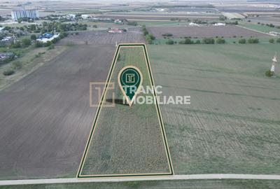 Teren Construcții intravilan de 25500 mp, în Vladimirescu - 3