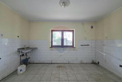 De vanzare proprietate unicat in Sascut - Bacau - 34