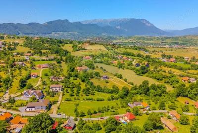 Teren de 1200 mp, în Sohodol