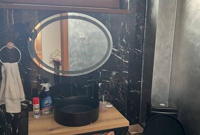 Moara Vlasiei, Particular, unica in zona, vila cu 9 camere, 7 bai, 2 garaje - 10