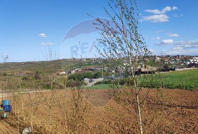 Teren Construcții intravilan de 1200 mp, în Săldăbagiu de Munte - 14