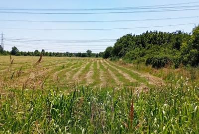 TEREN INTRAVILAN 8300 MP SECTOR 3 ZONA NICOLAE TECLU CEL MAI MIC PRET 431.600 Eu - 6