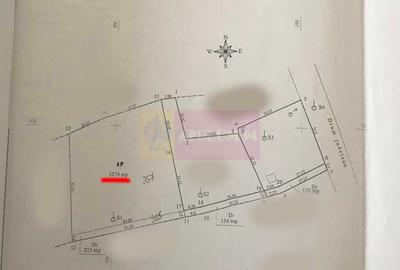 Teren agricol intravilan de 3274 mp, în Lunca Mare - 2