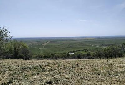 Casă cu 3 camere în Băneasa - 9