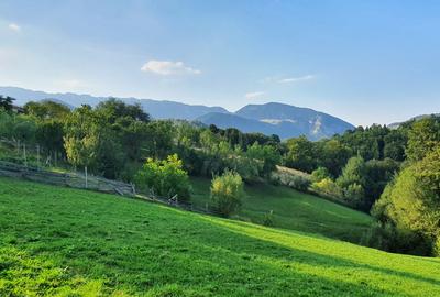 Teren pentru investitie sau casa de vacanta , Pestera , Brasov - 4