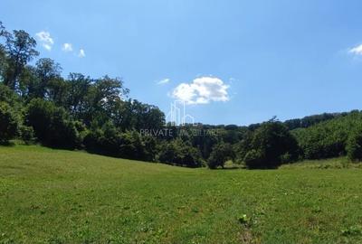 Teren agricol extravilan de 20 mp, în Daneș - 5