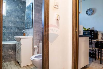 Apartament cu 2 camere decomandat, mobilat în Doamna Ghica - 9