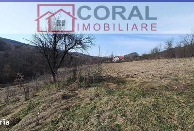 Spațiu comercial, în Căinelu de Jos - 3