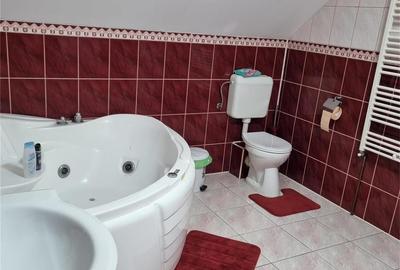 Casă cu 5 camere în Giroc - 2