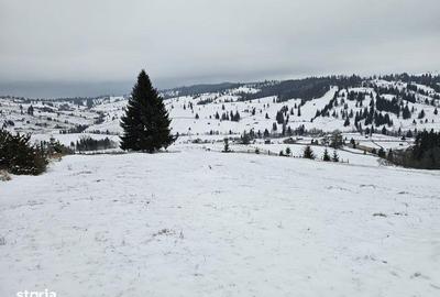 Teren de 25731 mp, în Breaza - 5