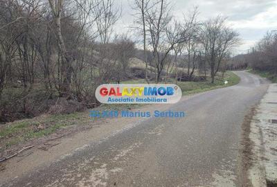 Teren Construcții intravilan de 2248 mp, în Răzvad - 13