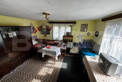 Proprietate cu 2 case, teren 2ha, zona Zlatna - Muntii Apuseni