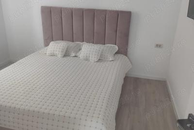 Casa vinzare sinandrei jud timis - 3