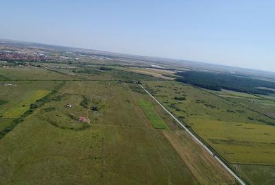 TEREN ZONA PADUREA BISTRA - 2