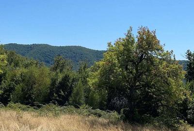 Teren Extravilan in mijlocul naturii. - 15