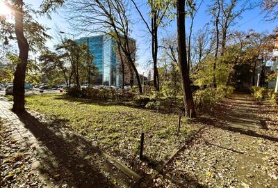 Ciurchi Tatarasi, Tudor Center, 3 camere, etaj 2 - 1