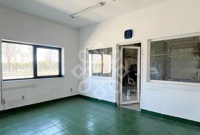 Hala industriala 900 mp de inchiriat pe Calea Clujului - 4