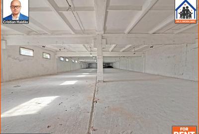 Hale de inchiriat in 1 Decembrie Ilfov | NILS Imobiliare - 7