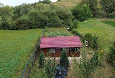 Teren Drumul Buzdului cu o cabana mica - 1